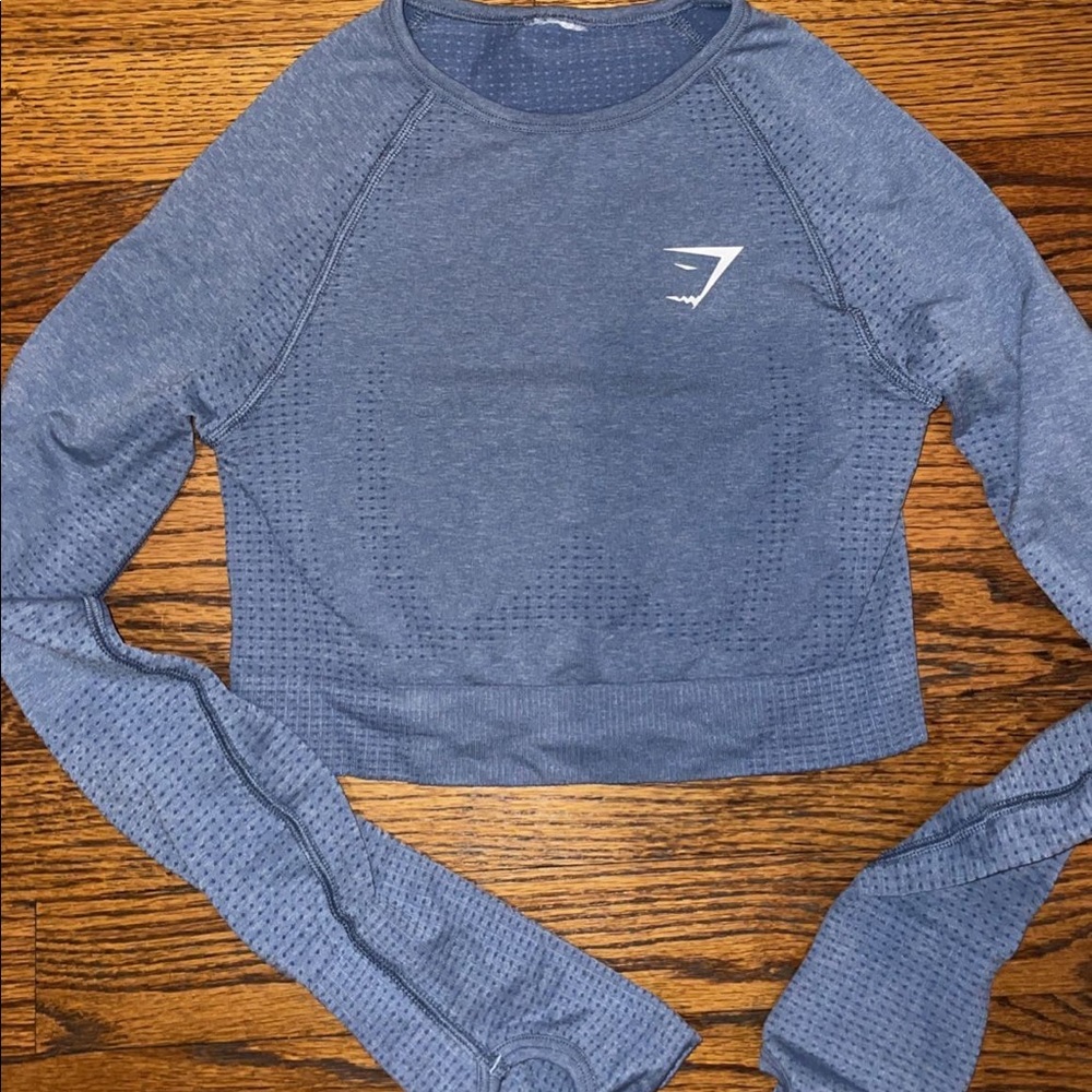 blue cropped long sleeve top